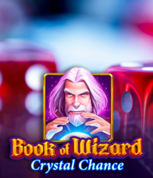 BOOK OF WIZARD