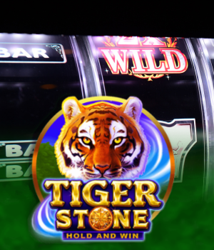 TIGER STONE