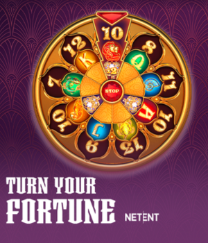 Turn Your Fortune