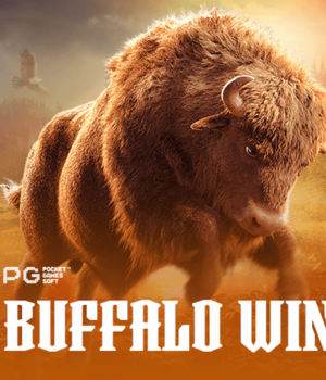 Buffalo Win