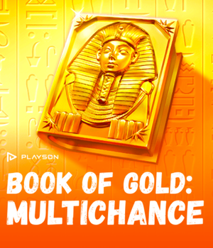 Book of Gold Multichance