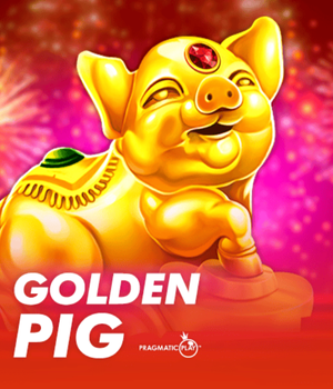 Golden Pig