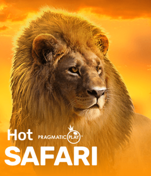 Hot Safari